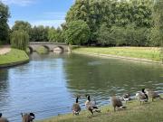 Cambridge - 03